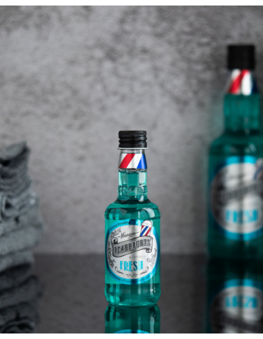 Pack Cuidado Capilar + Peinado Beardburys