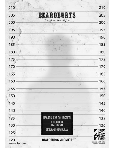 Poster Alcatraz Ficha Policial