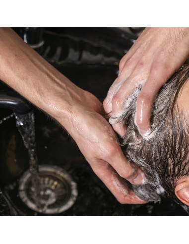 Champu para Pelo Gris y Blanco | Matizante Canas | Beardburys