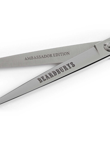 Takimura High-End Professional Hairdressing Scissors