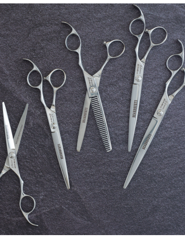 Takimura High-End Professional Hairdressing Scissors