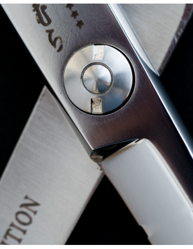 Takimura High-End Professional Hairdressing Scissors