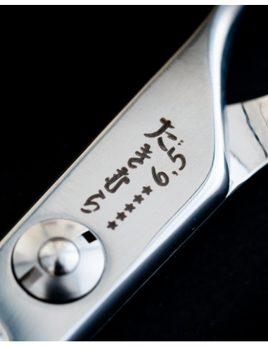 Takimura High-End Professional Hairdressing Scissors