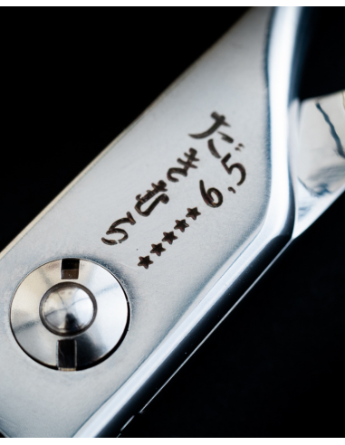 Takimura High-End Professional Hairdressing Scissors