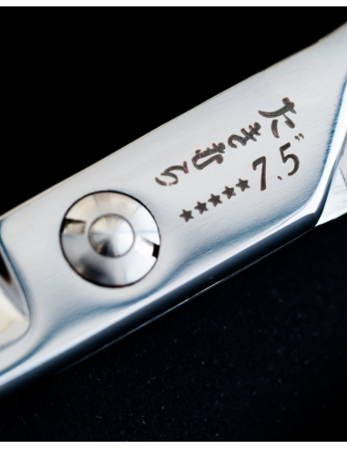 Takimura High-End Professional Hairdressing Scissors