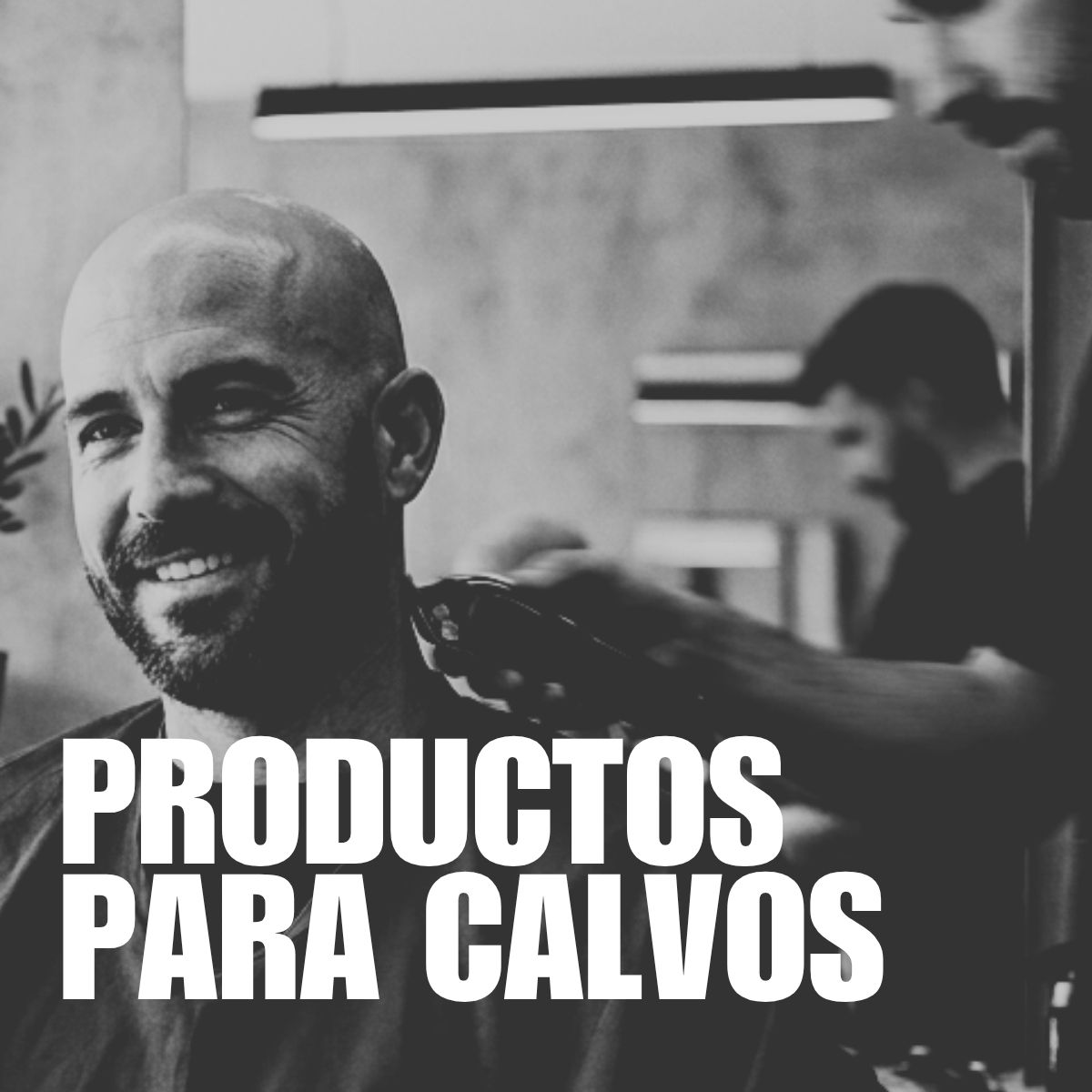 Productos para la barba Beardburys